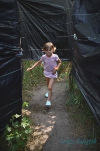 Labirynt Leśny Zakątek Kurabka