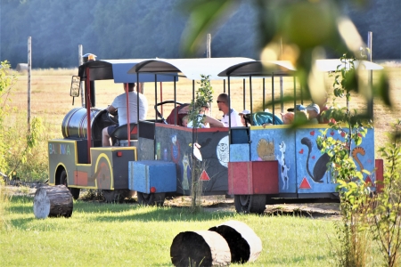 Ciuchcia Balbinka Turystyka Księstwo Łowickie